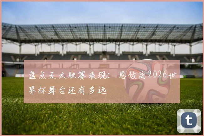 盘点五大联赛表现:恩佐离2026世界杯舞台还有多远