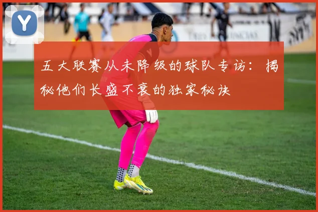 五大联赛从未降级的球队专访:揭秘他们长盛不衰的独家秘诀